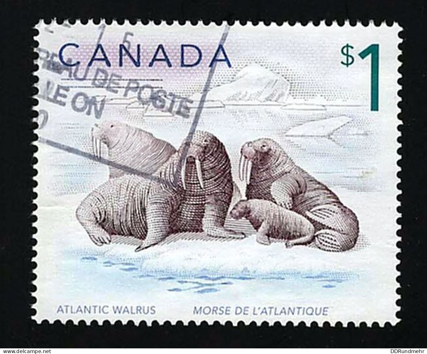 2005 Atlantic Walrus Michel CA 2300 Stamp Number CA 1689 Yvert Et Tellier CA 2183 Stanley Gibbons CA 1758 Used - Oblitérés