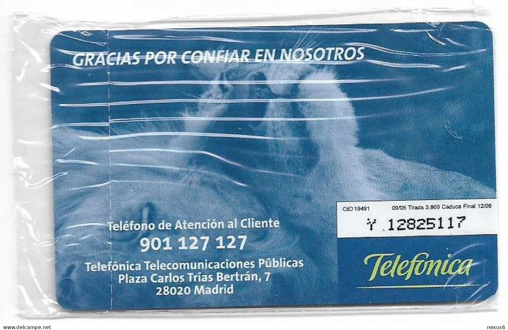 Spain - Telefónica - Cuidamos Tu Confianza - Leones, Lions - P-573 - 09.2005, 12€, 3.800ex, NSB - Privatausgaben