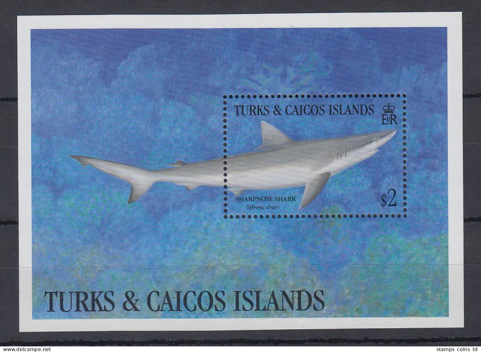 Turks & Caicos Mi.-Nr. Block ? Postfrisch ** / MNH Scharfnasenhai - Turks & Caicos