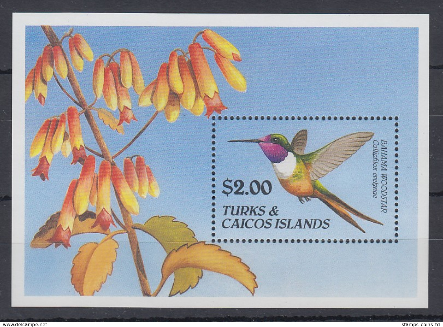 Turks & Caicos Mi.-Nr. Block 93 Postfrisch ** / MNH Vogel - Turks & Caicos