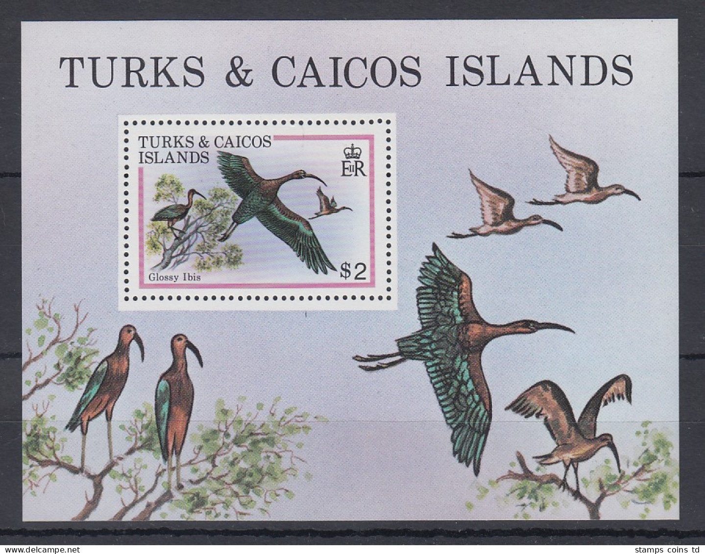 Turks & Caicos Mi.-Nr. Block 21 Postfrisch ** / MNH Ibis - Turks & Caicos