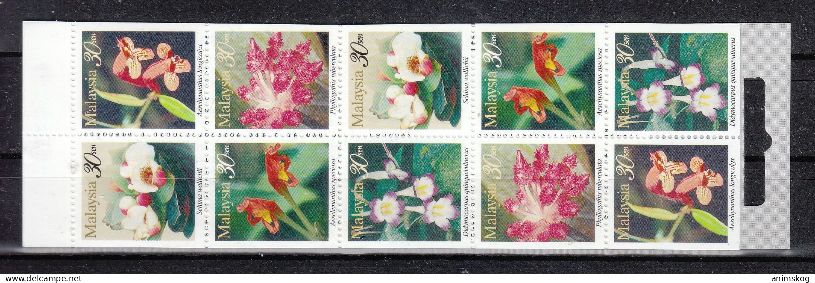 Malaysia 1997**, Flora Des Hochlandes, Sukkulente Aeschynanthus / Malaysia 1997, MNH, Flora Of The Highlands, Succulent - Sukkulenten