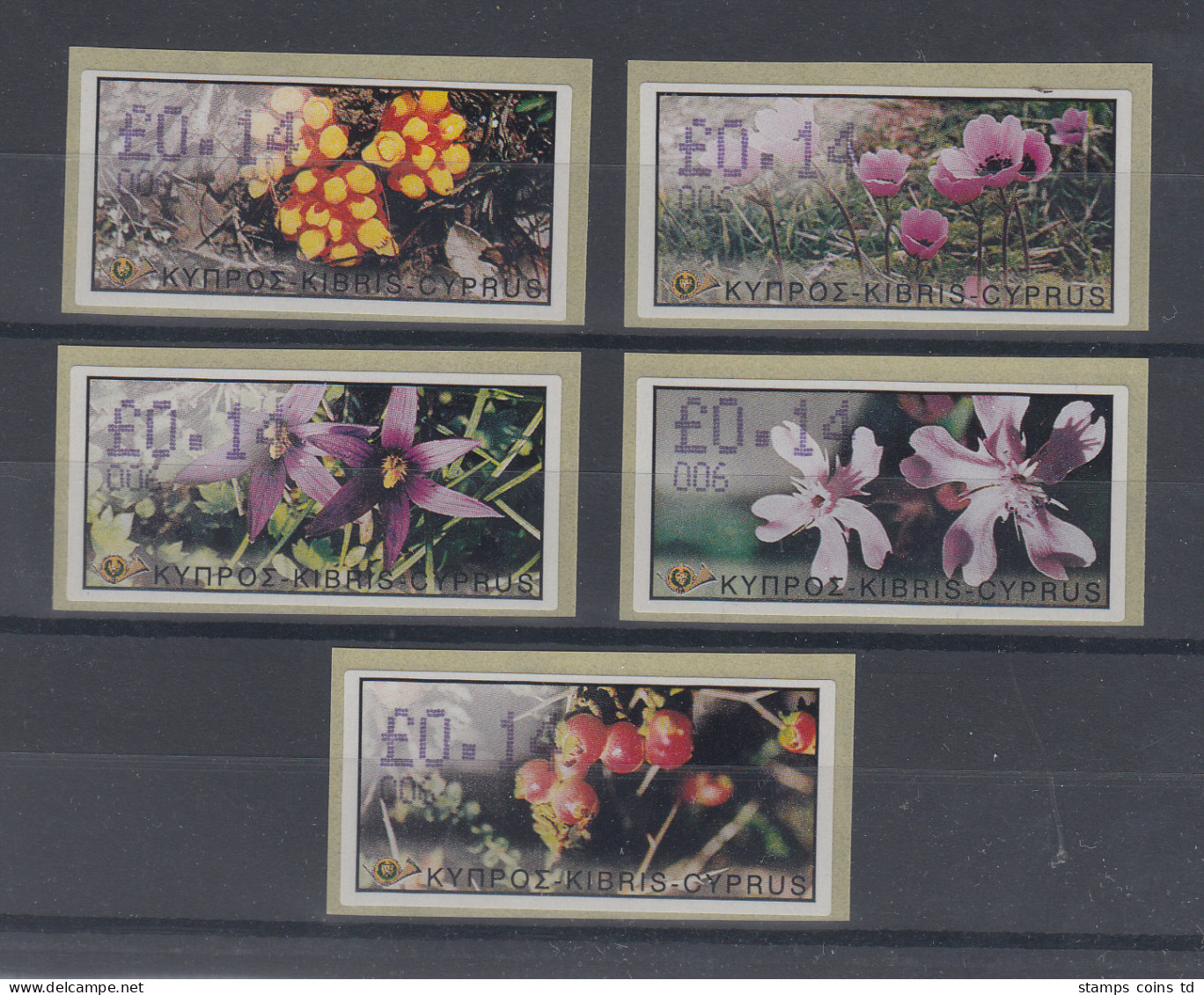 Zypern Amiel-ATM Ausgabe Wildblumen 2002, Mi.-Nr. 5-9 Je Eine ATM Mit Nr. 006 - Sonstige & Ohne Zuordnung