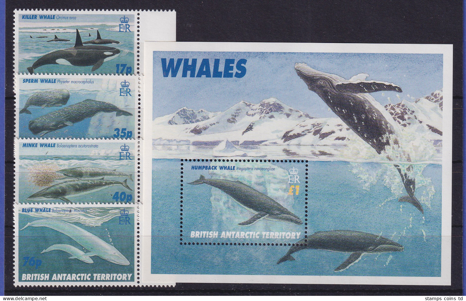 Britische Antarktis 1986 Wale Mi.-Nr. 250-253 Und Block 4 Postfrisch ** - Other & Unclassified