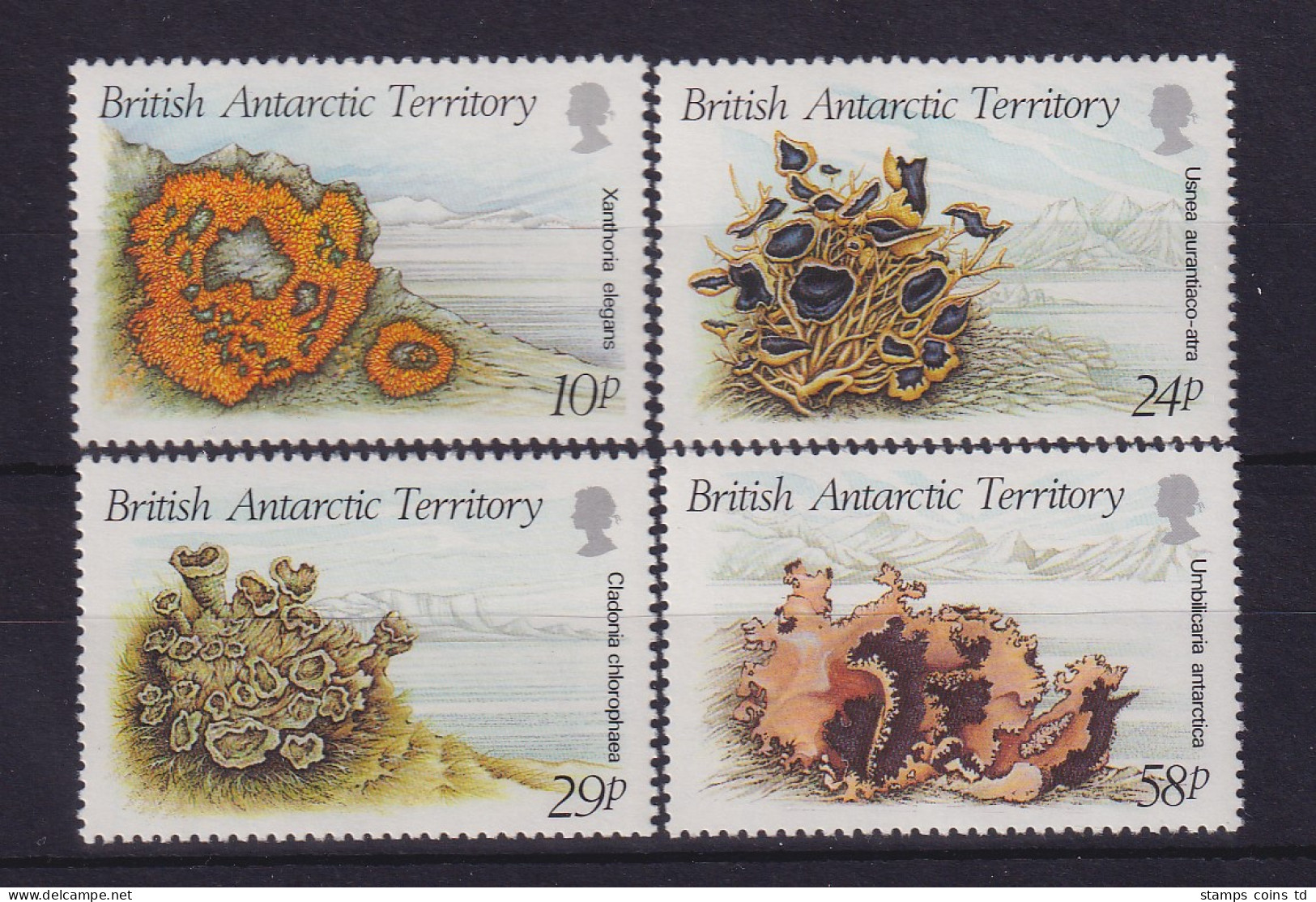 Britische Antarktis 1989 Flechten Mi.-Nr. 152-155 Postfrisch ** - Andere & Zonder Classificatie