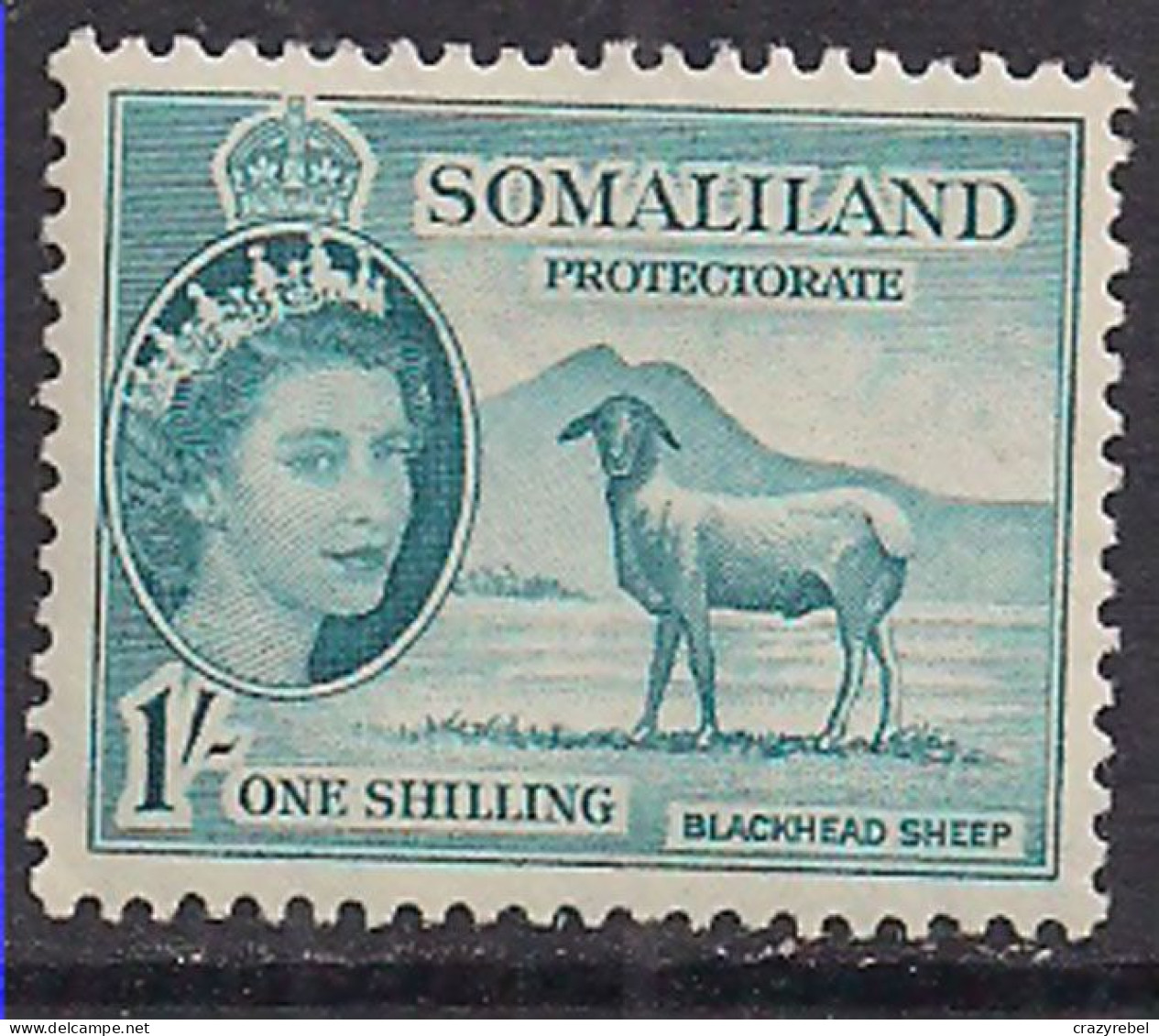 Somaliland 1953 QE2 1/- Blackhead Sheep MH SG 144 ( L592 ) - Somaliland (Protectorate ...-1959)