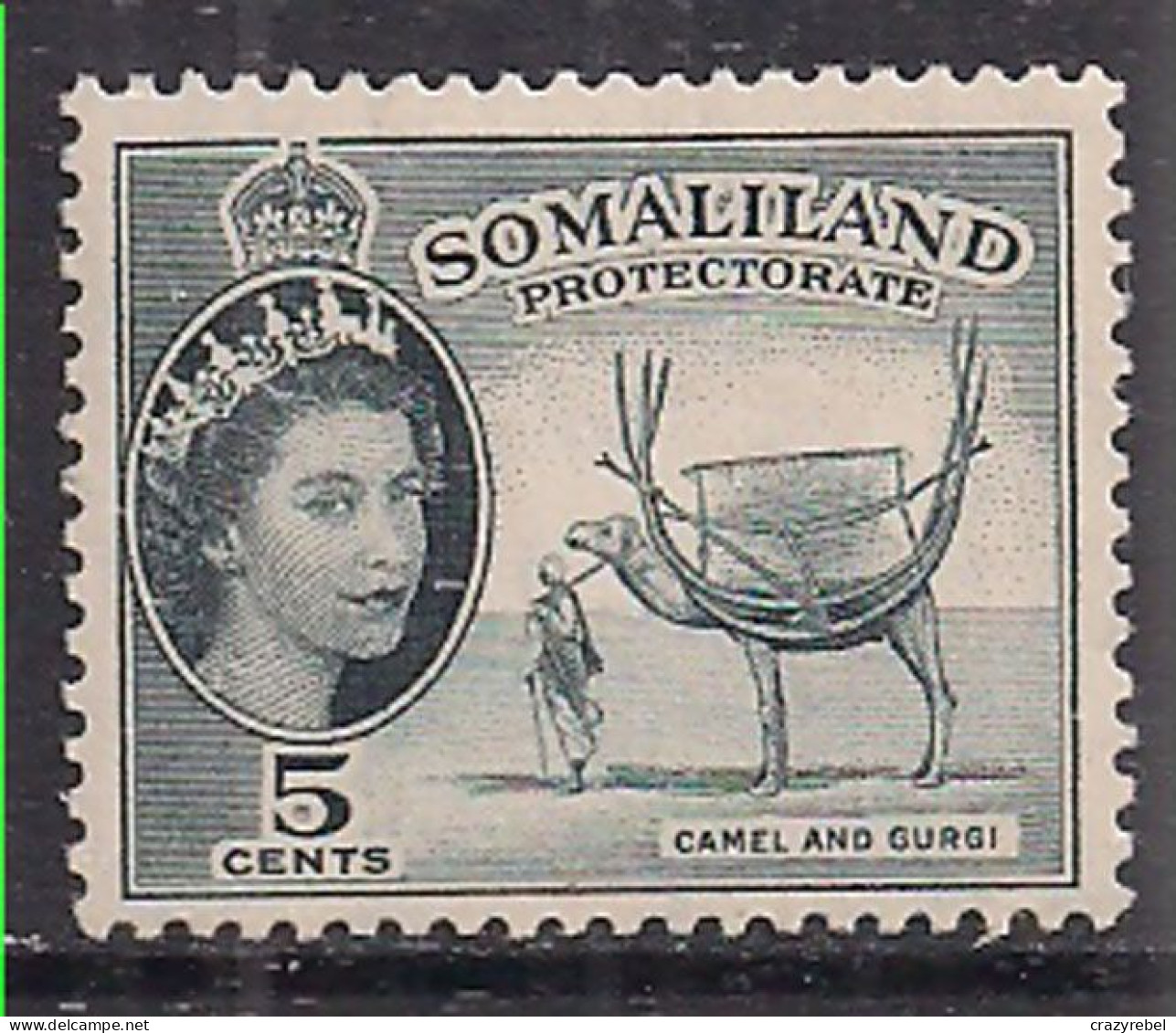 Somaliland 1953-58 QE2 5c Camel & Gurgi MNH SG 137  ( L356 ) - Somaliland (Protectorate ...-1959)