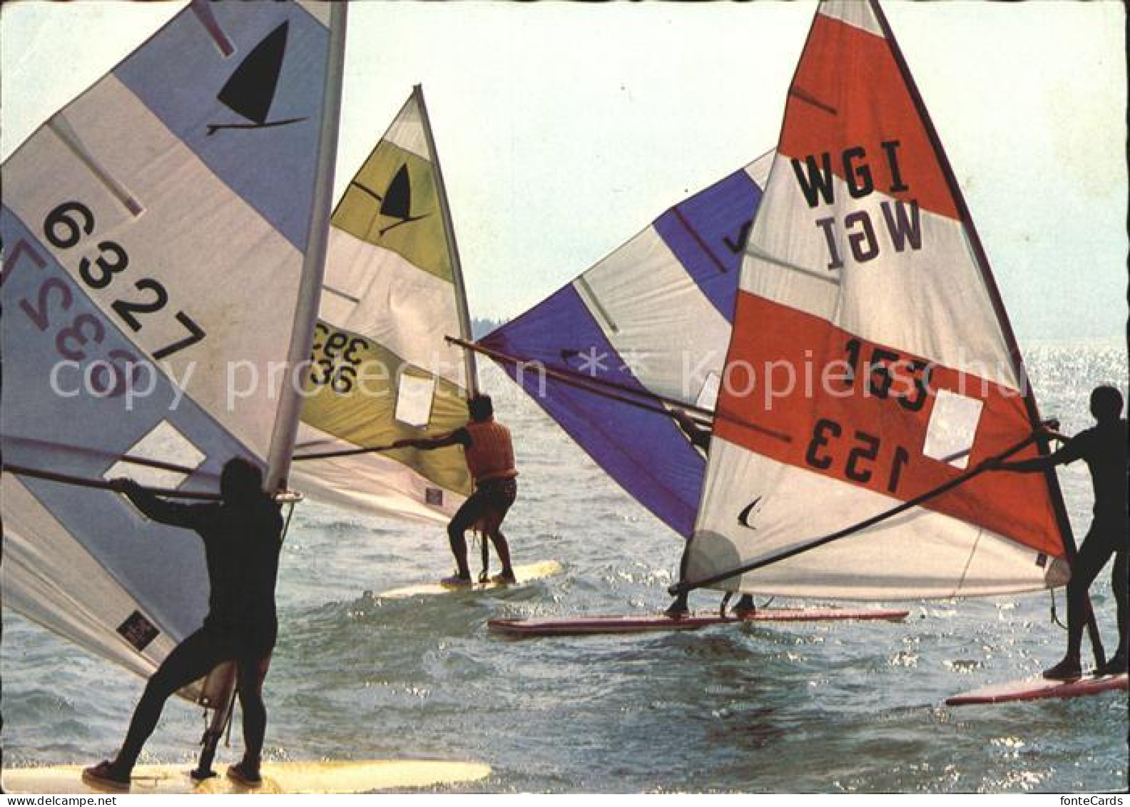 72148065 Segeln Windsurfen Balaton   - Sailing