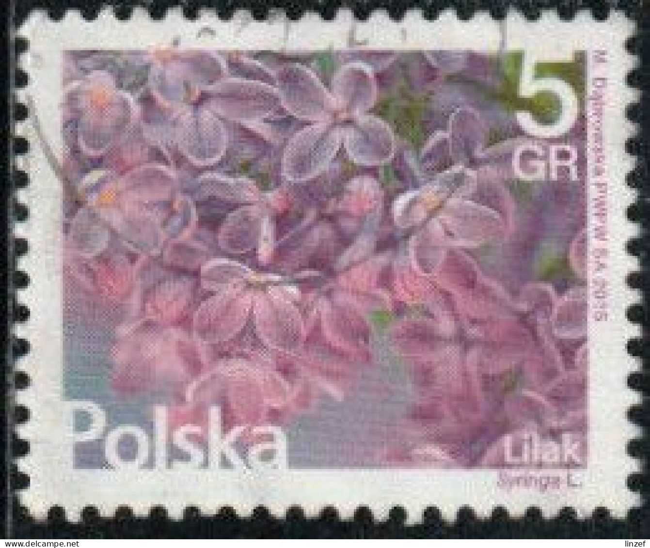 Pologne 2015 Yv. N°4455 - Lilas - Oblitéré - Oblitérés