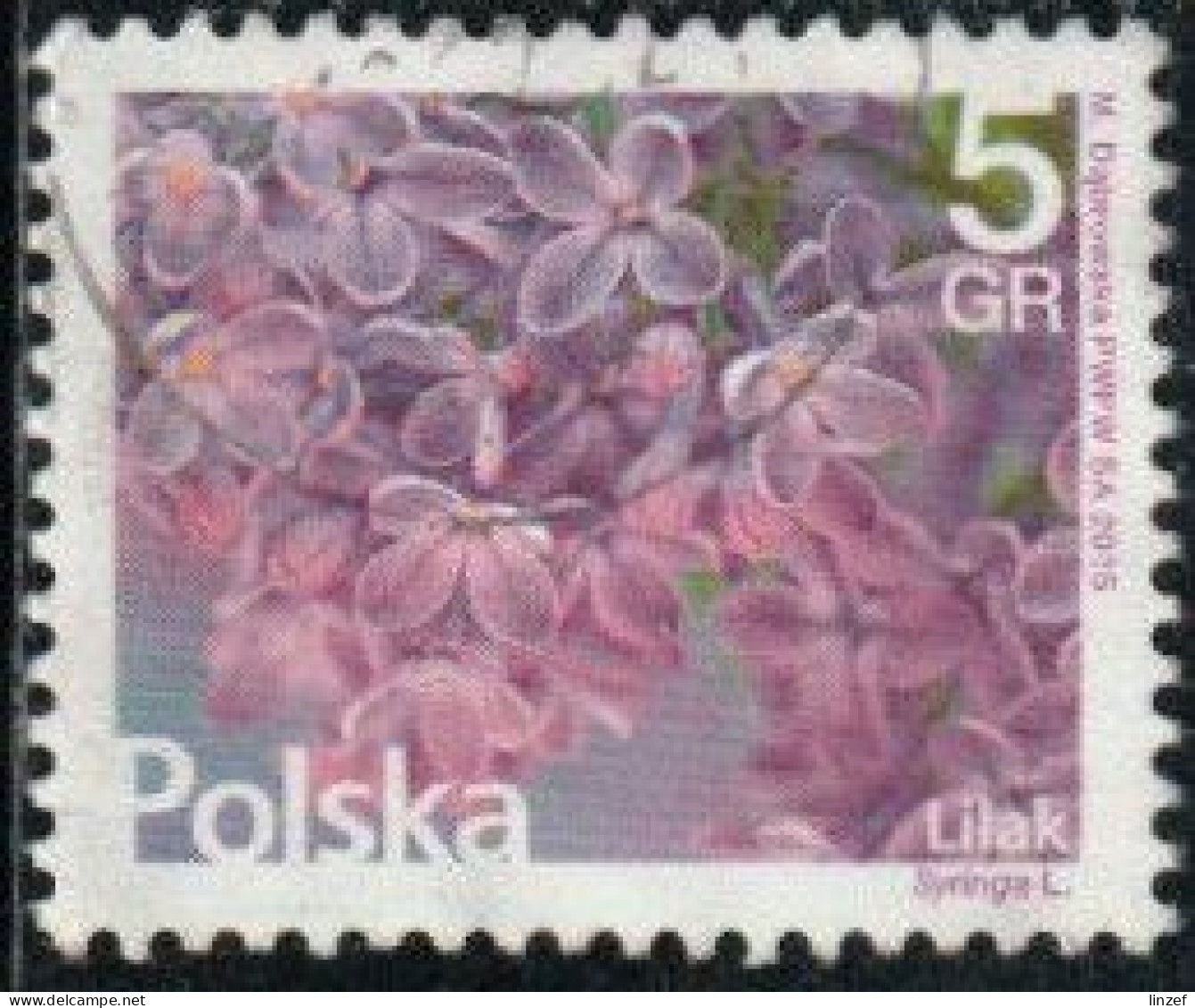 Pologne 2015 Yv. N°4455 - Lilas - Oblitéré - Used Stamps
