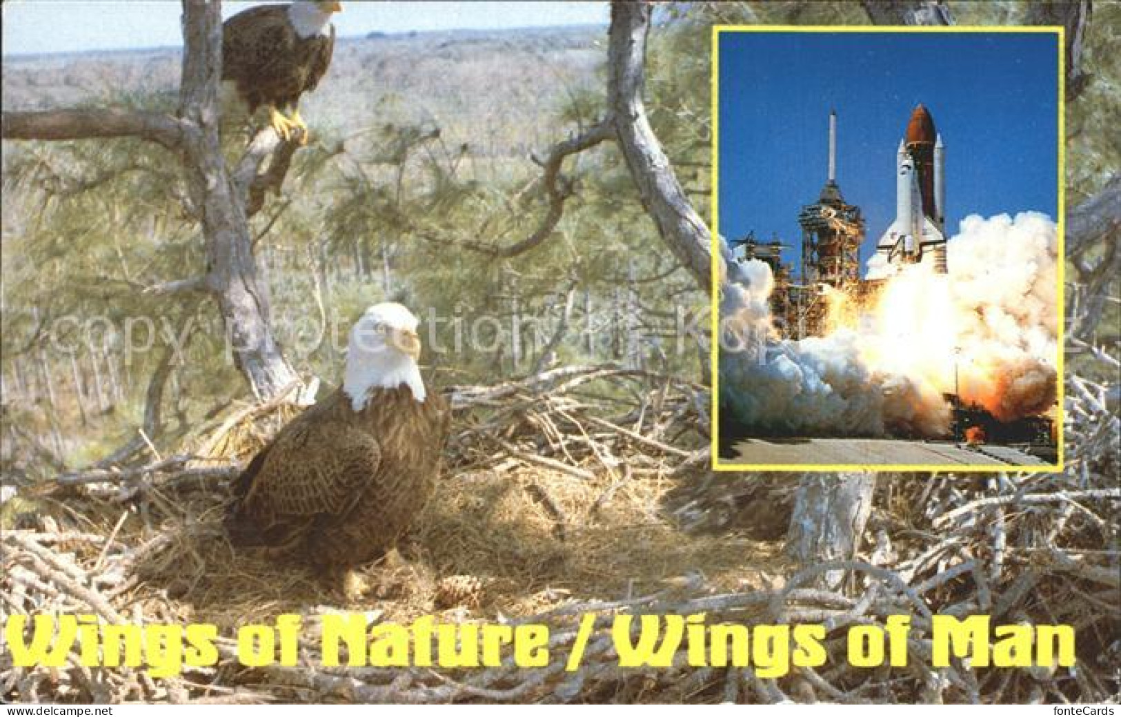 72131024 Raumfahrt Kennedy Space Center Florida Southern Bald Eagle  Flug - Espace