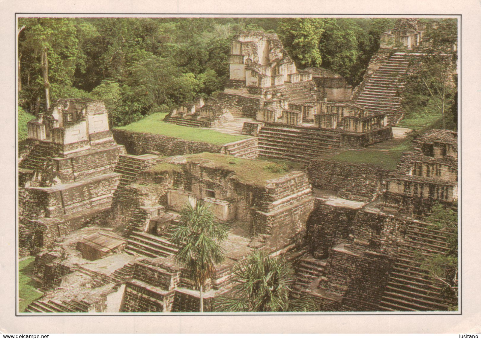 GUATEMALA Tikal, Antigua Metrópolis Maya - Guatemala