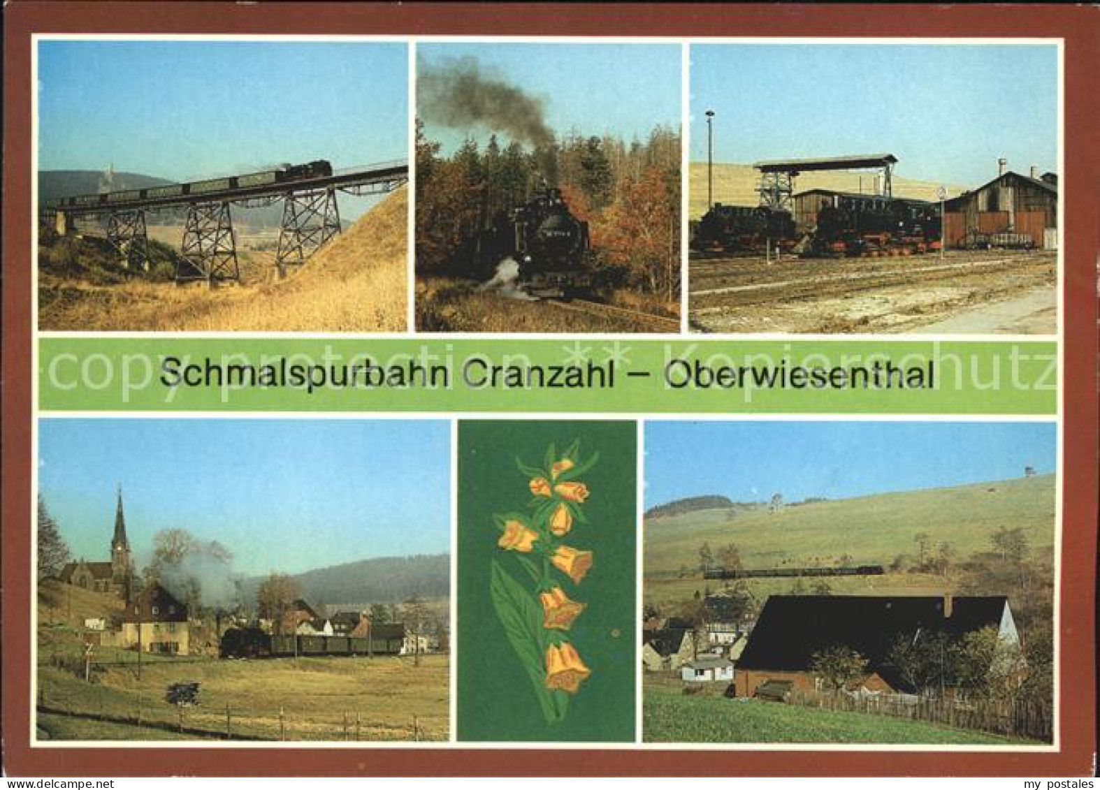 72050984 Cranzahl Schmalspurbahn Cranzahl - Sehmatal