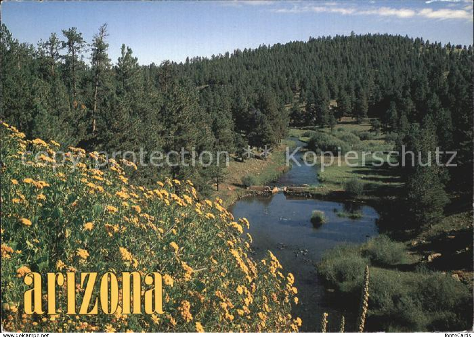 72434231 Arizona_US-State White Mountains Little Colorado River - Andere & Zonder Classificatie