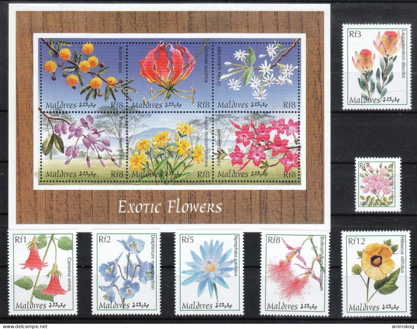 Malediven 1993**, Exotische Pflanzen, Sukkulenten / Maldives 1993, MNH, Exotic Plants, Succulents - Sukkulenten