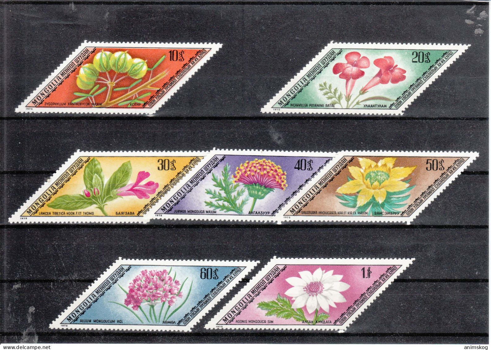 Mongolei 1975**, Heilpflanzen / Mongolia 1975, MNH, Medicinal Plants - Cactus