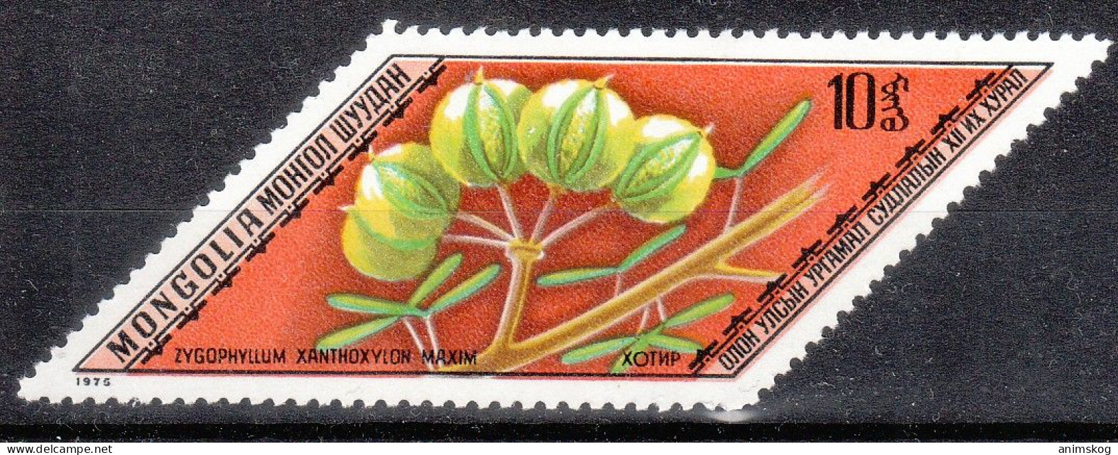 Mongolei 1975**, Heilpflanzen / Mongolia 1975, MNH, Medicinal Plants - Cactus