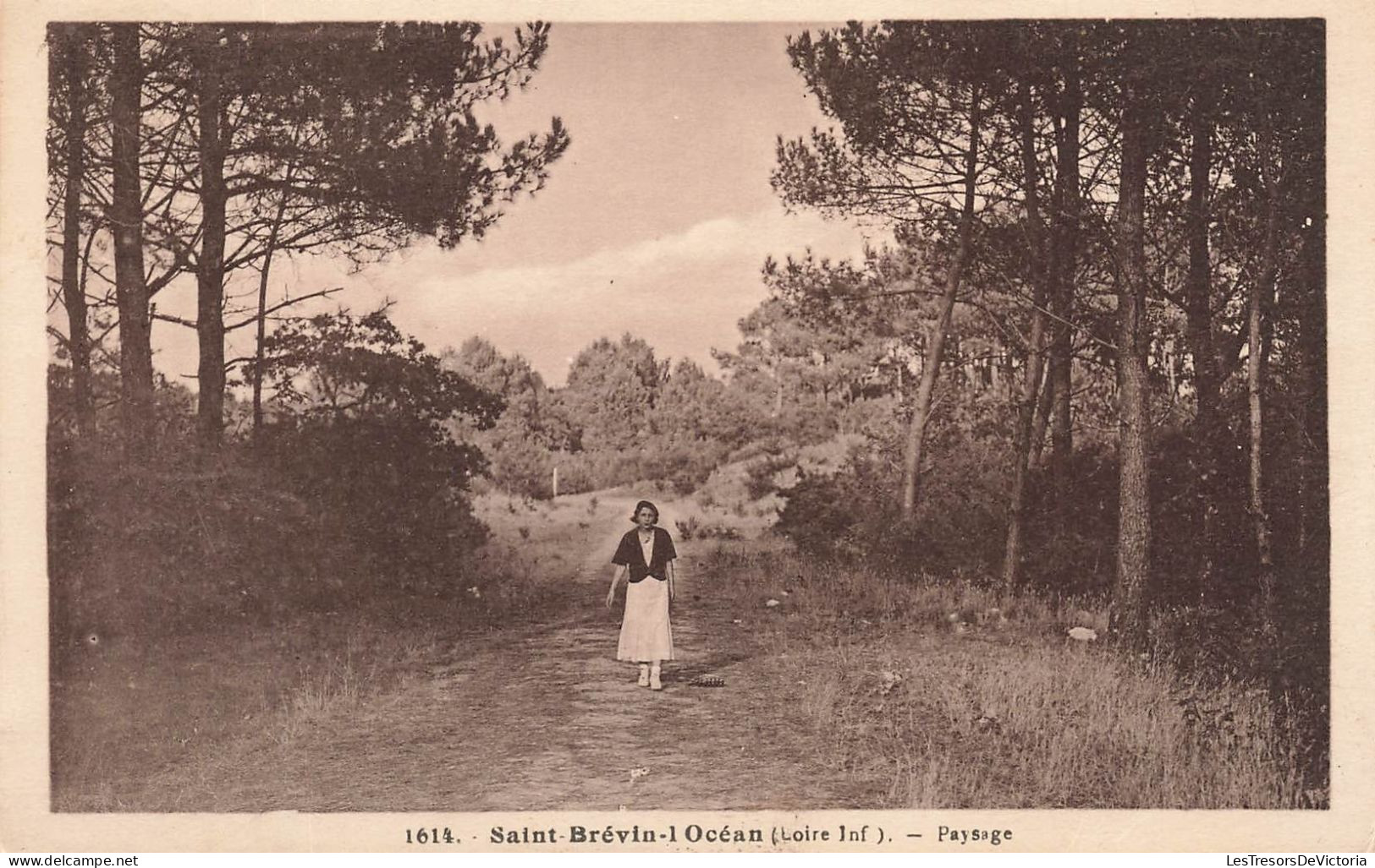 FRANCE - Saint Brévin L'Océan - Paysage - Carte Postale Ancienne - Saint-Brevin-l'Océan