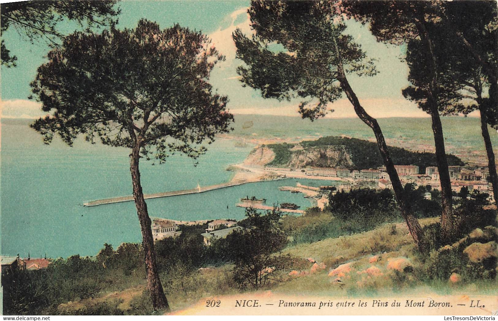 FRANCE - Nice - Panorama Pris Entre Les Pins Du Mont Born - LL -  Colorisé - Carte Postale Ancienne - Other & Unclassified