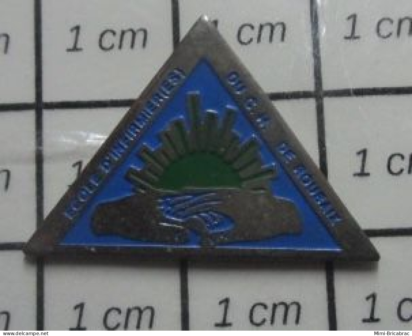 911c Pin's Pins / Beau Et Rare / MEDICAL / ECOLE D'INFIRMIERE DU CH DE ROUBAIX - Geneeskunde