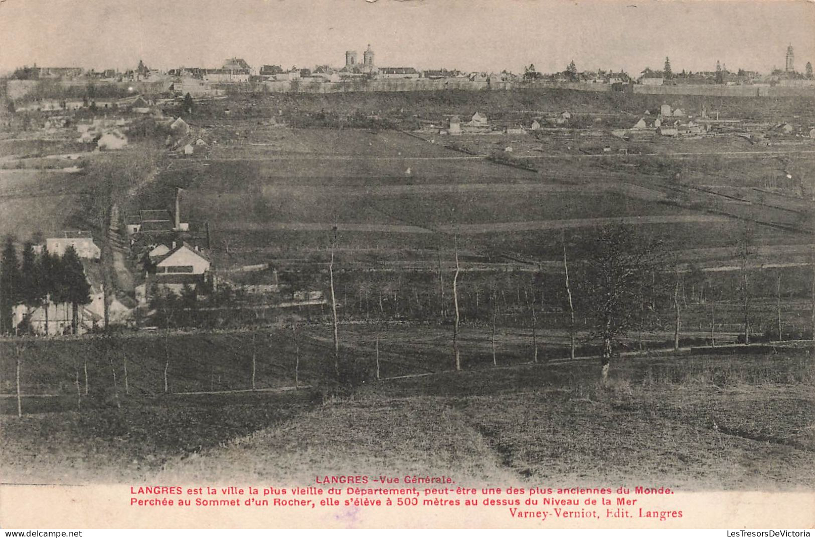 FRANCE - Langres - Vue Générale De La Ville - Carte Postale Ancienne - Langres