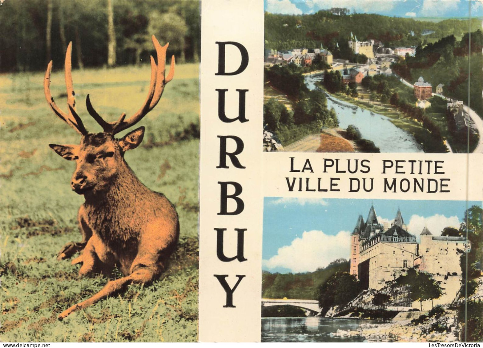 BELGIQUE - Durbuy - La Plus Petite Ville Du Monde - Carte Postale - Durbuy