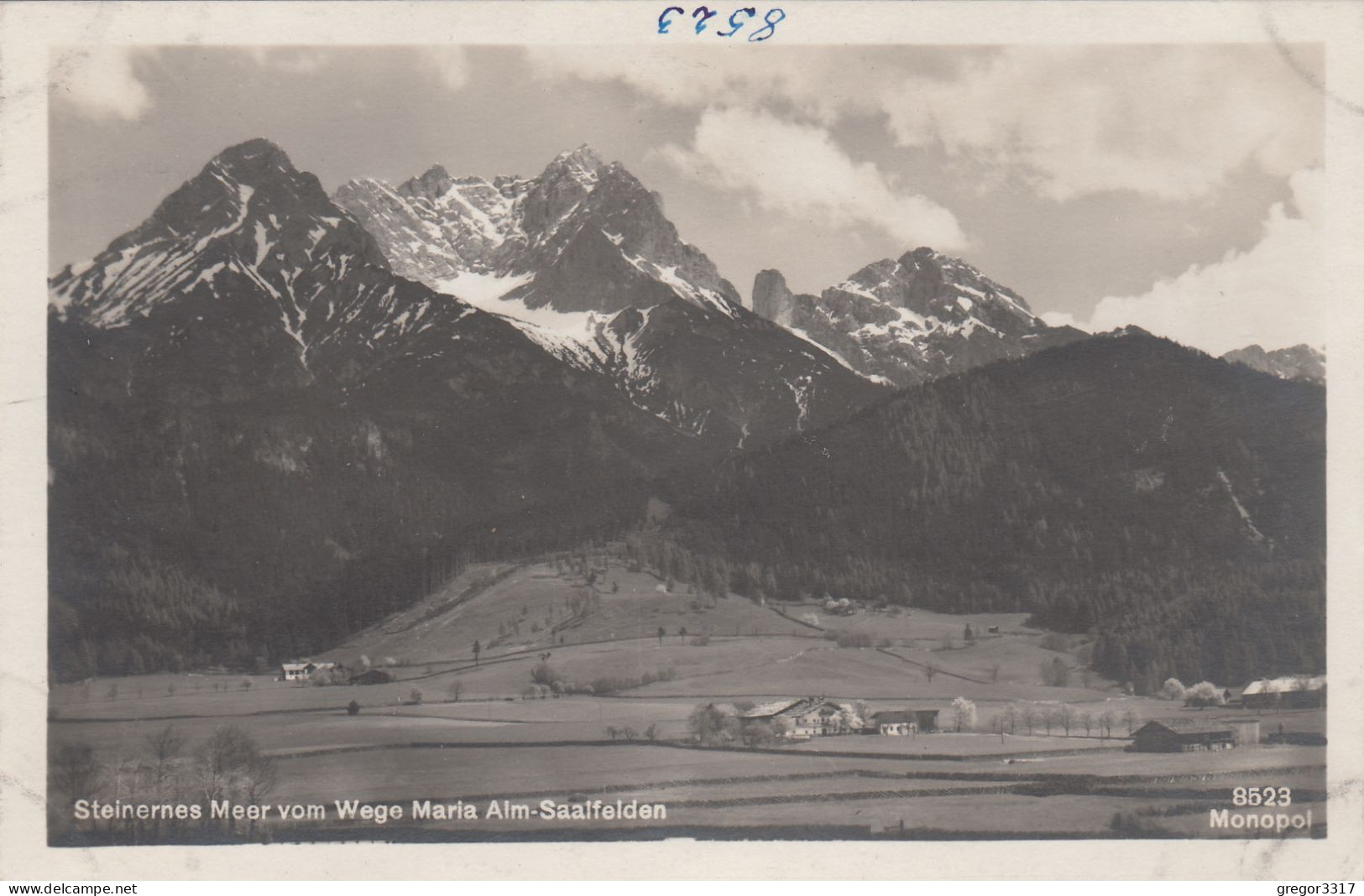 E3840) Steinernes Meer Vom Weg MARIA ALM - SAALFELDEN - S/W FOTO AK -mit Bauernhof Alt ! - Saalfelden