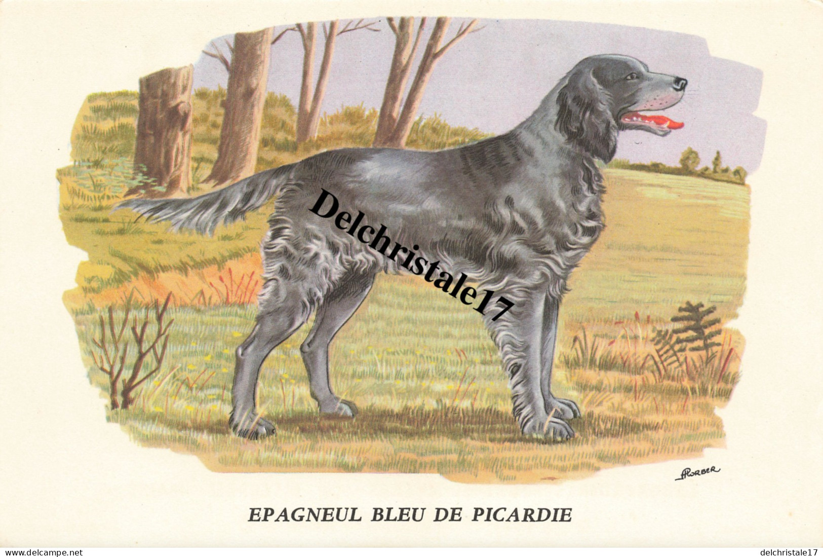 BUVARD 0007 PUBLICITÉ BIOLACTYL - LABORATOIRES FOURNIER FRÈRES PARIS - ILLUSTRATION HORBER THÈME CHIEN ÉPAGNEUL PICARDIE - Produits Pharmaceutiques