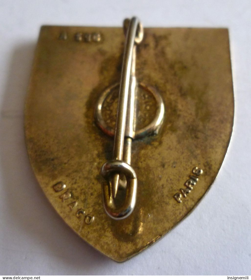 INSIGNE BA 116 LUXEUIL BASE AERIENNE - DRAGO PARIS A 596 - Armée De L'air