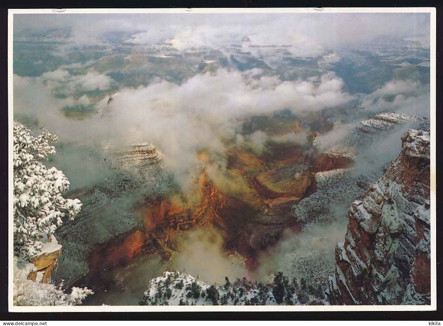 CPSM / CPM 10,5 X 15 USA Etats Unis (63) Arizona GRAND CANYON National Park  Winter Storm Leaves - Grand Canyon