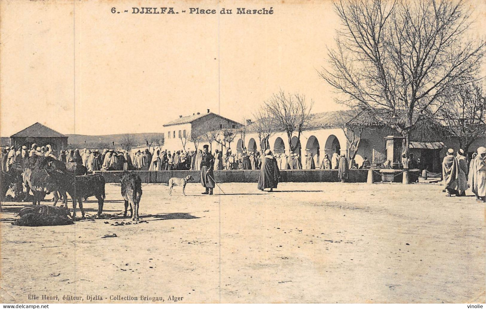 24-1768 : DJELFA. PLACE DU MARCHE - Djelfa