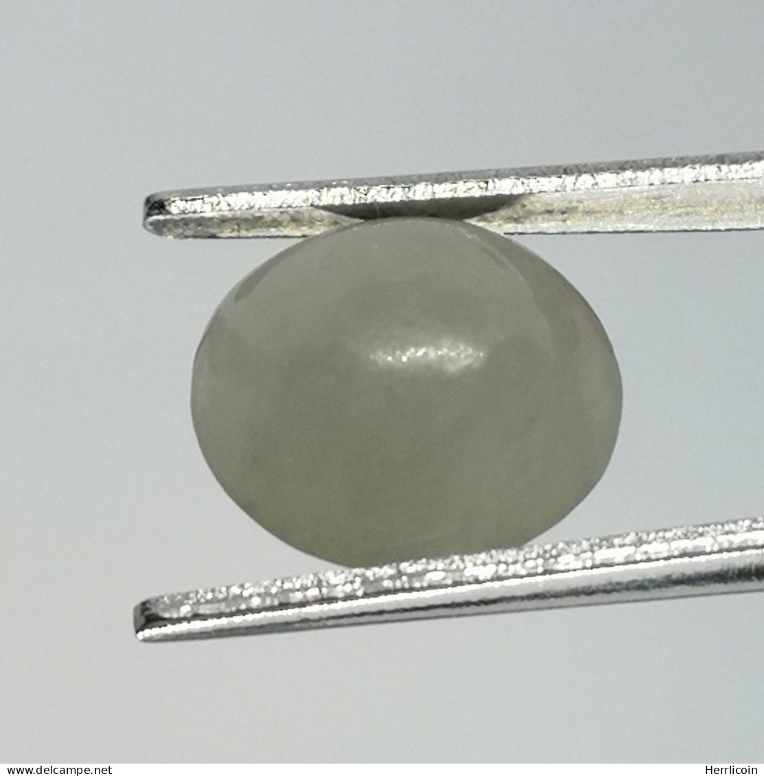 Jadéite Cabochon Birmanie: 3.34 Carats | Ovale, Poli | Vert Semi-translucide - Jade