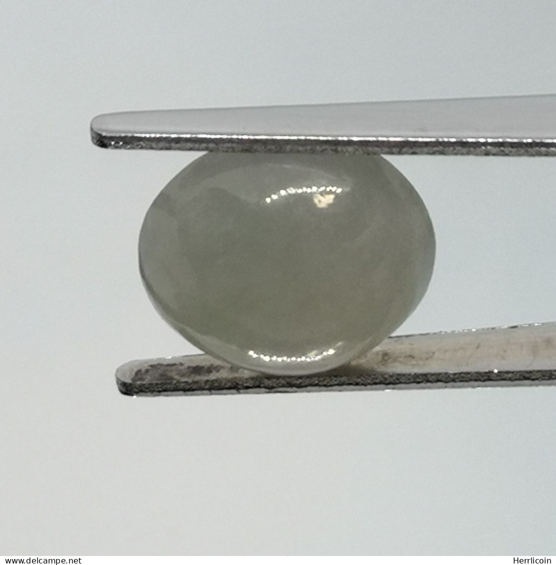 Jadéite Cabochon Birmanie: 3.34 Carats | Ovale, Poli | Vert Semi-translucide - Giada