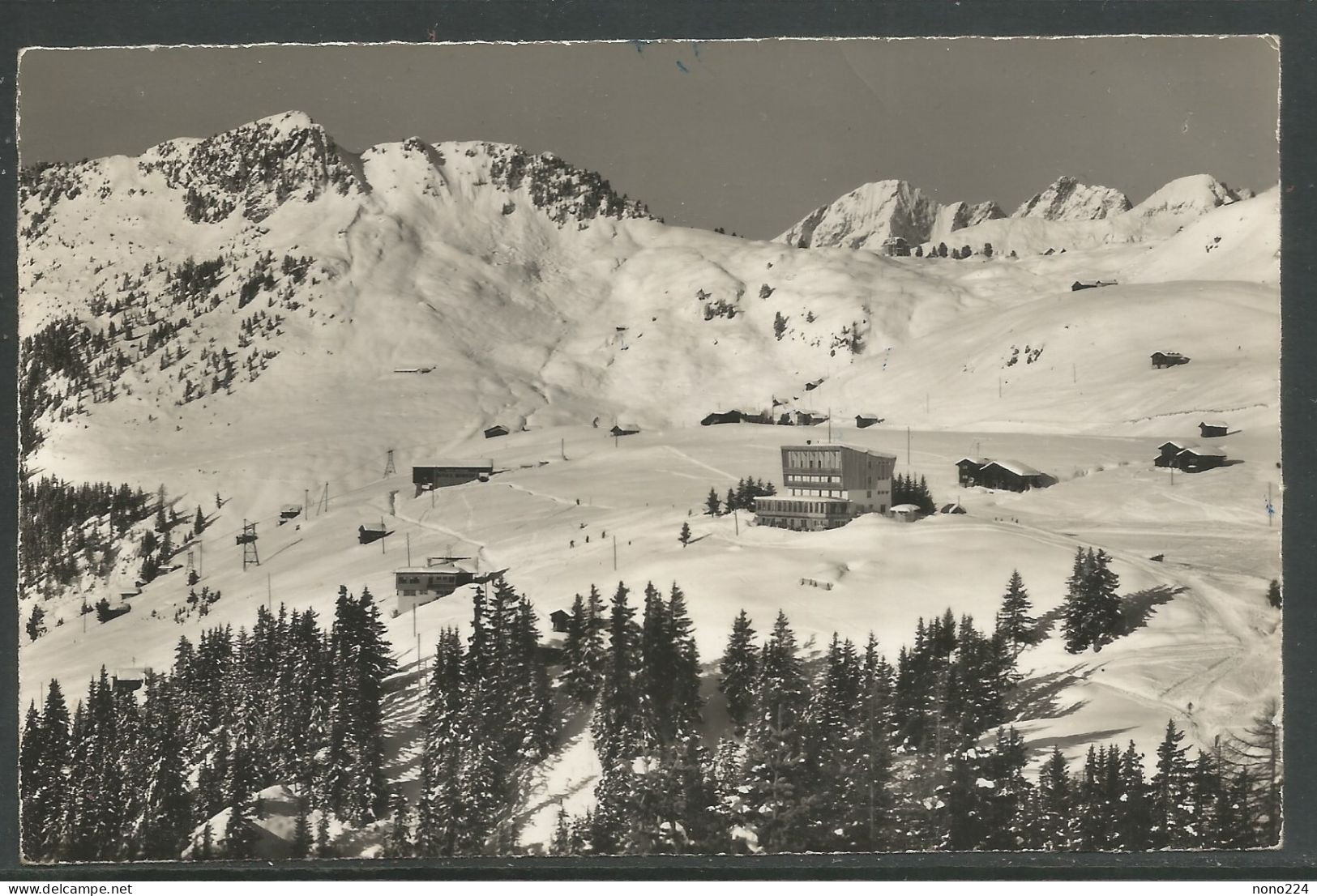 Carte P De 1964 ( Riederalp / Sporthotel Alpenrose ) - Riederalp