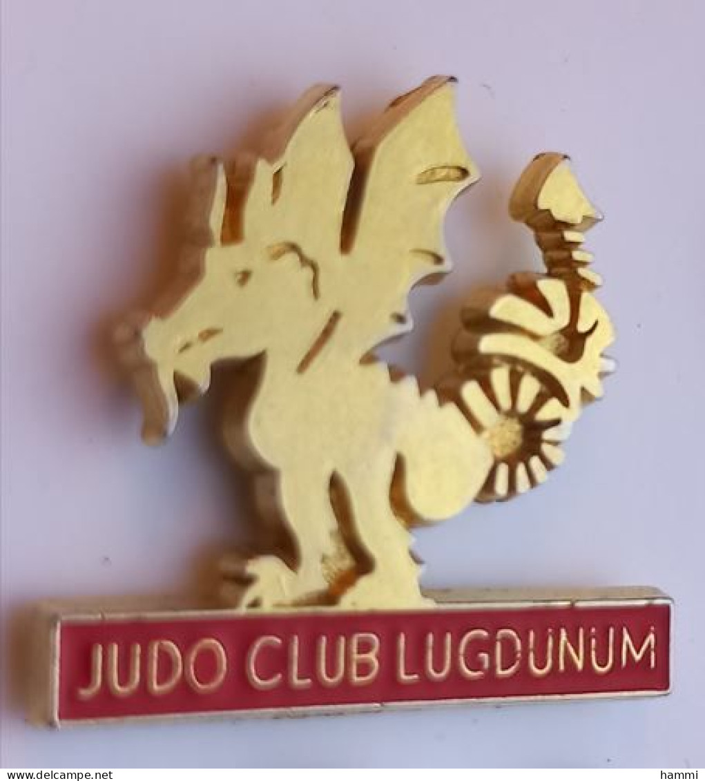 I112 Pin's Judo Club Lugdunum Lyon Dragon Qualité Top Achat Immédiat - Judo