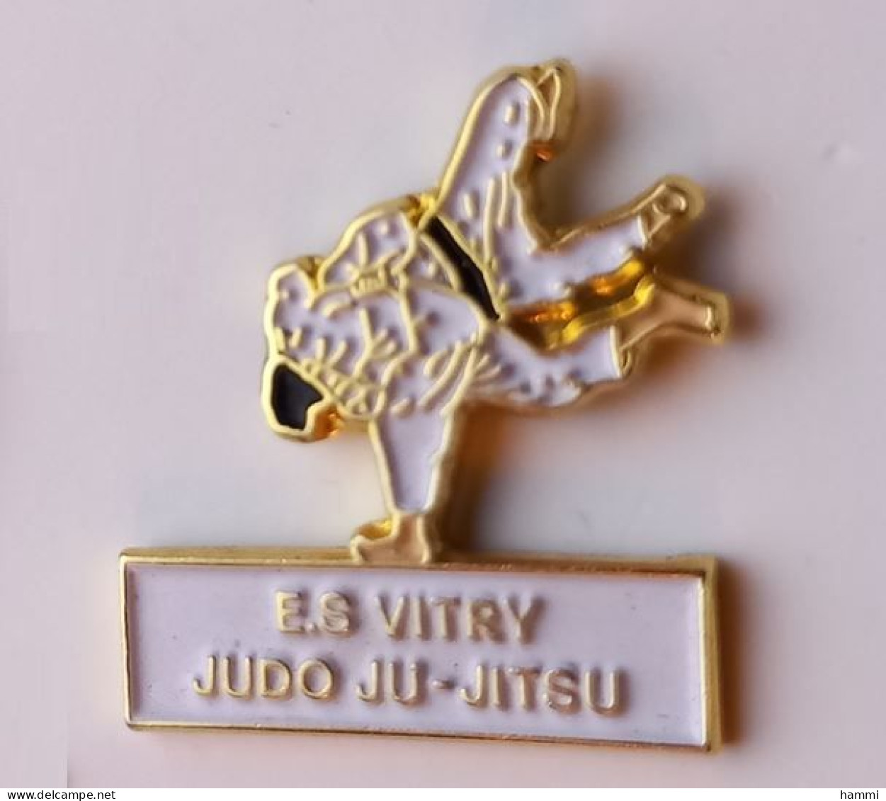 I111 Pin's E.S Vitry Judo Ju-Jitsu Jujitsu à Vitry-sur-Seine Val-de-Marne Achat Immédiat - Judo