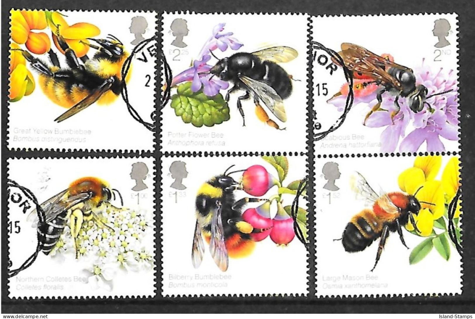 2015 Honey Bees Used Set HRD2-B - Gebruikt