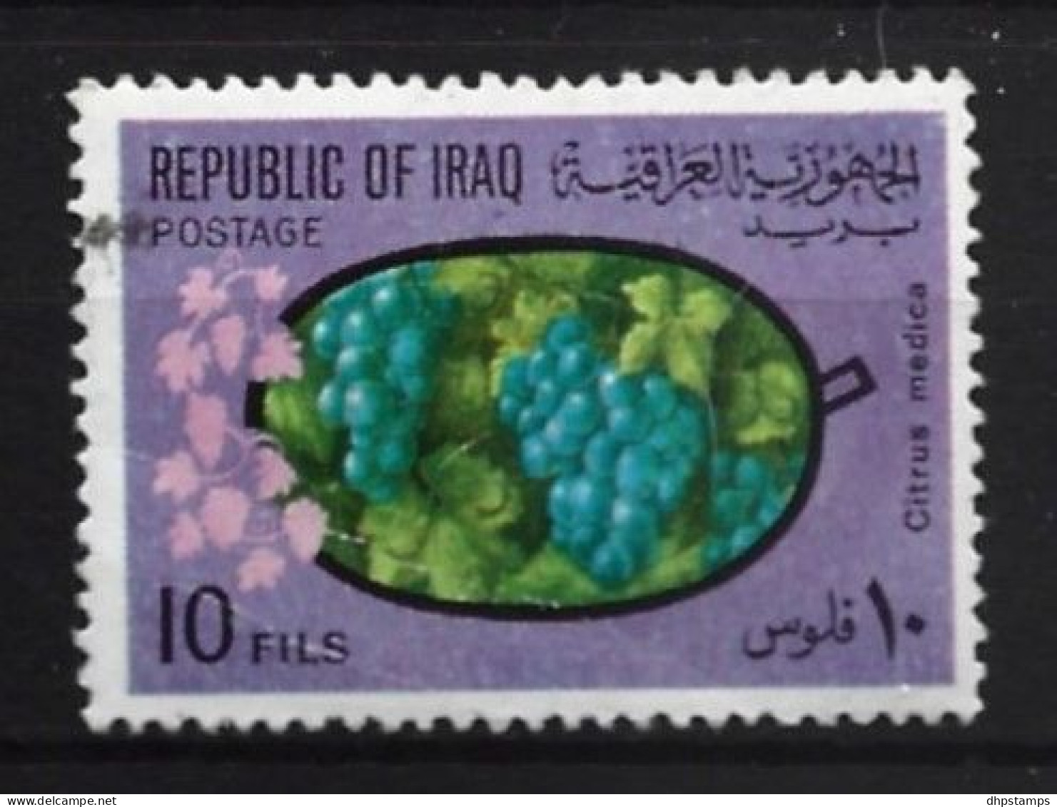 Irak 1970 Fruit Y.T. 595 (0) - Iraq