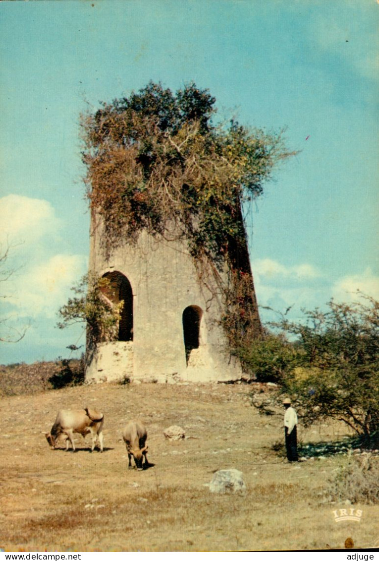 CPM- Guadeloupe - Vieux Moulin à Sucre - Edit. Hachette Antilles**** 2 Scans - Basse Terre