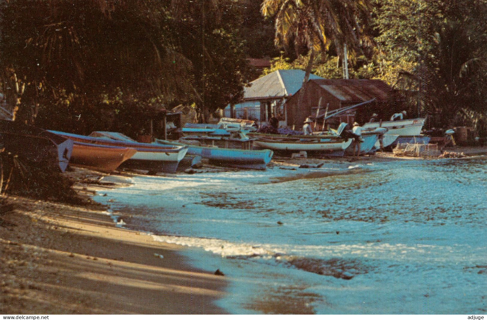 CPM PF- Guadeloupe - Terre-de-Haut - FOND DU CURE - Plage Des Pêcheurs **** 2 Scans - Basse Terre