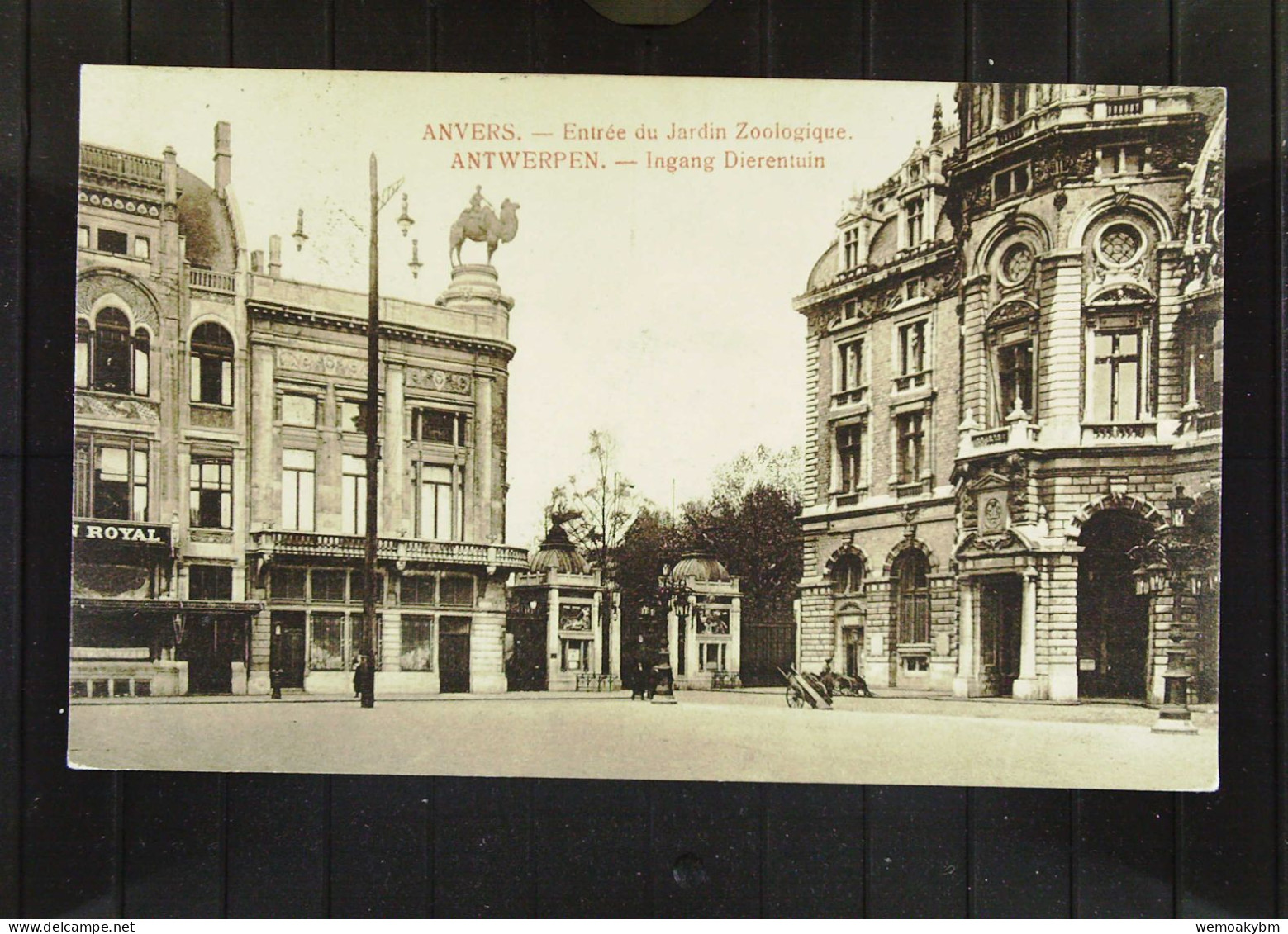 Belgien: Feldpostkarte Von Antwerpen Mit Entre Du Jardin Zoologique Um 1915 Vom Hauptquartier GROSSEN - Lettres & Documents