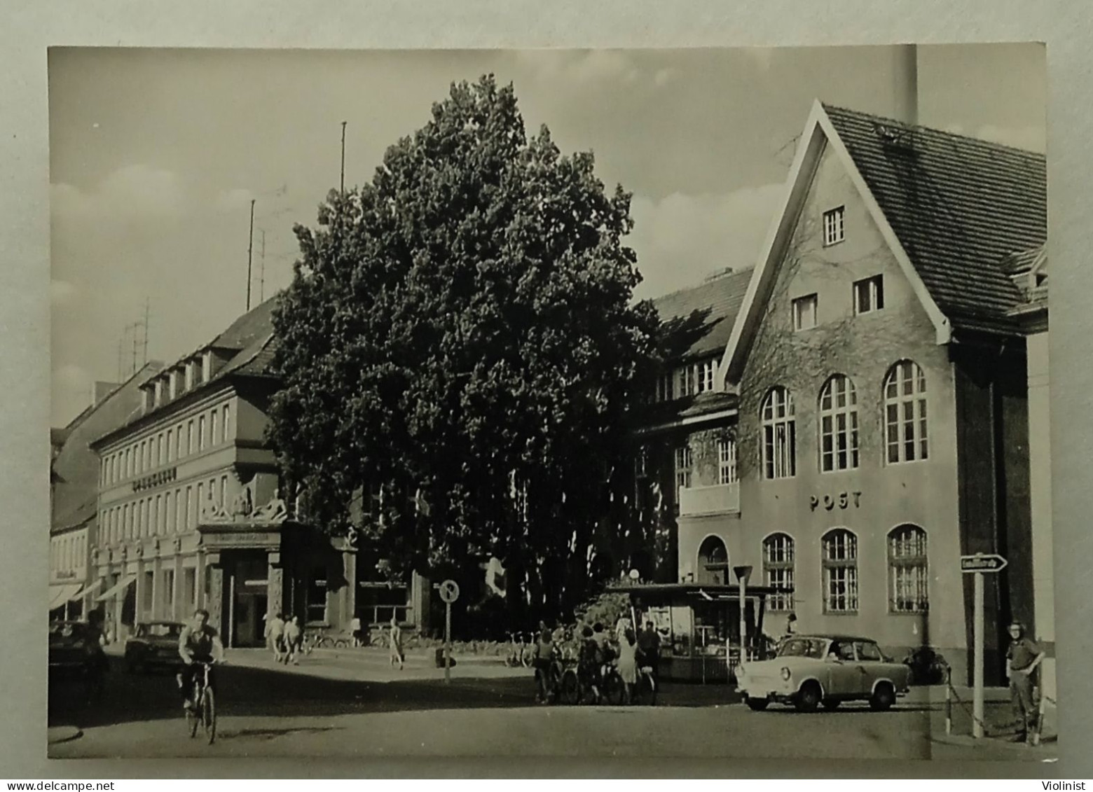 Germany-Finsterwalde-Thälmannstraße - Finsterwalde