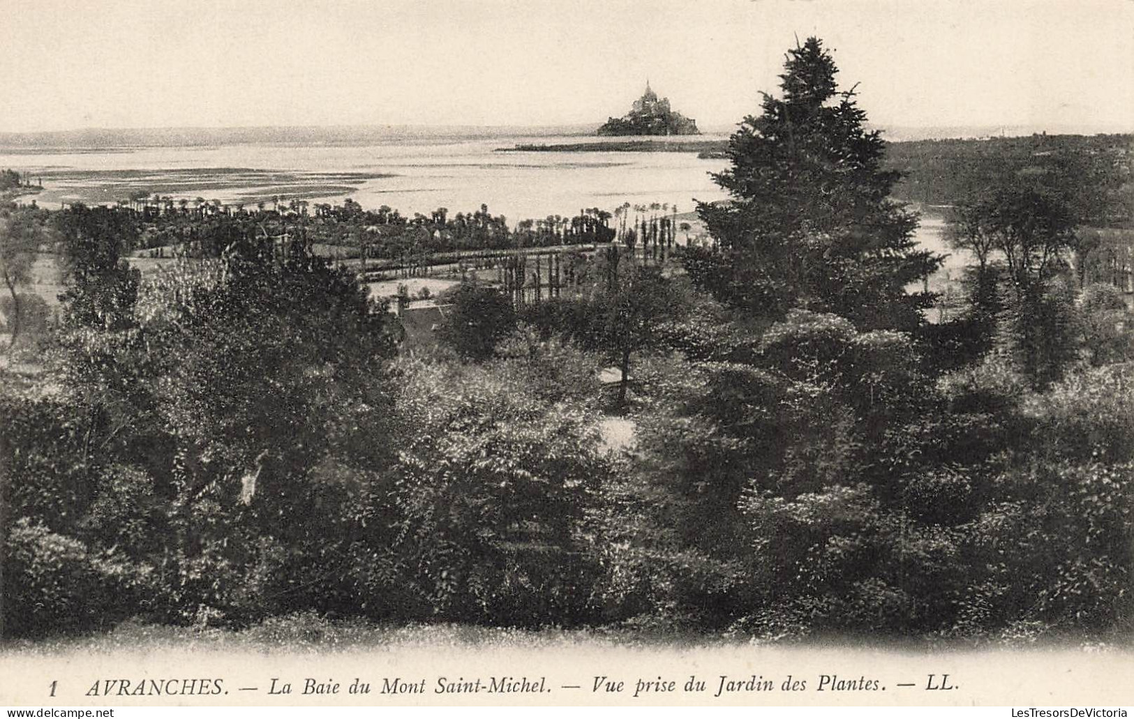 FRANCE - Avranches - La Baie Du Mont Saint Michel - Vue Prise Du Jardin Des Plantes - Carte Postale Ancienne - Avranches