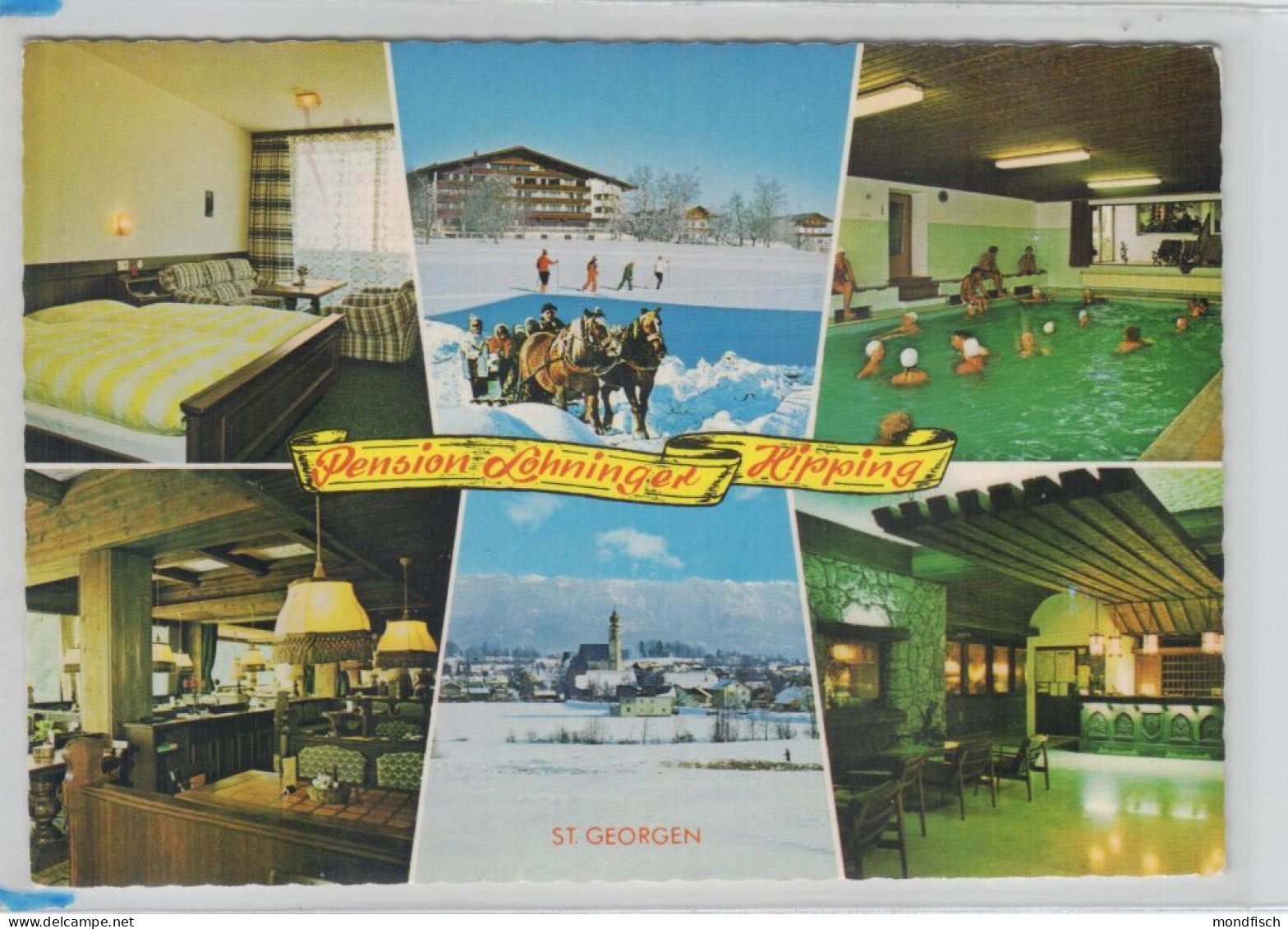 St. Georgen Im Attergau - Hipping - Hotel Lohninger-Schober - Haflinger - Attersee-Orte