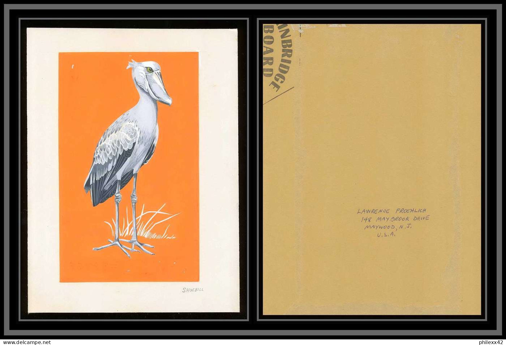 3045 Ajman N°398 Bec-en-sabot Oiseaux Birds Shoebill Maquette D'artiste Original Artist Work Signed Froehlich 1969 - Storchenvögel