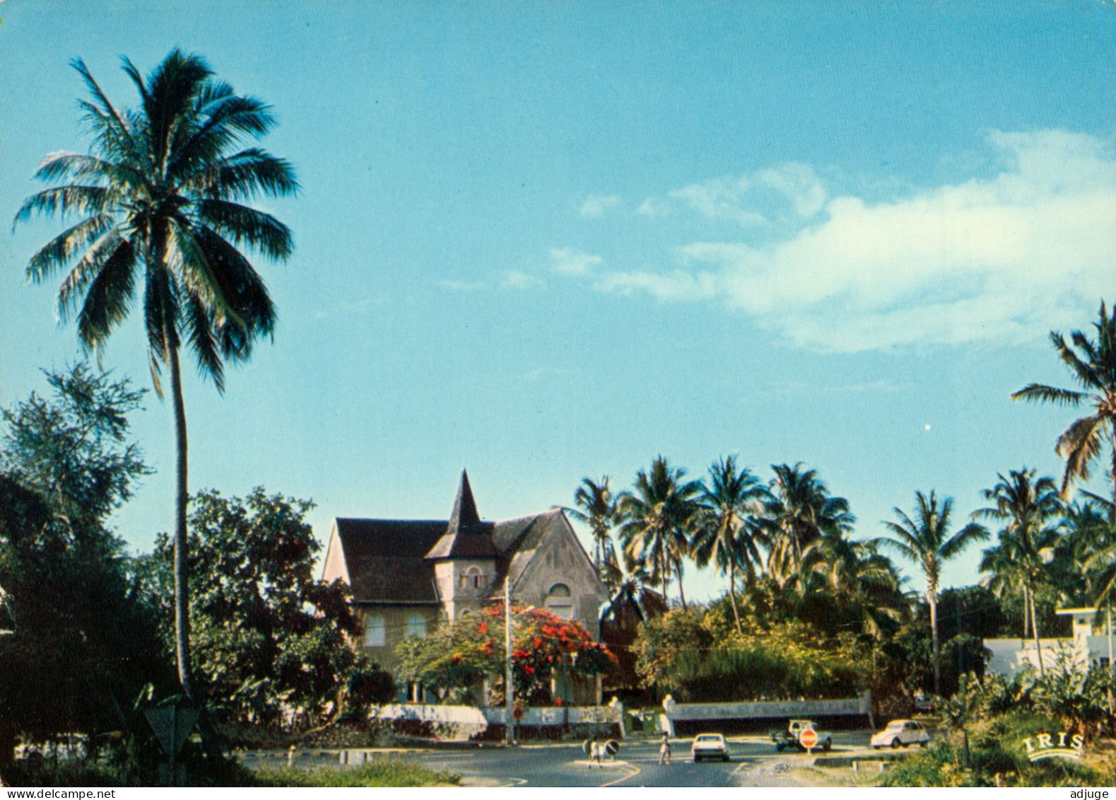 CPM - Réunion - SAINT-PAUL - Au Milieu Des Cocotiers- Ed.Hachette-Réunion 97 Sainte-Clotilde**** 2 Scans - Saint Paul