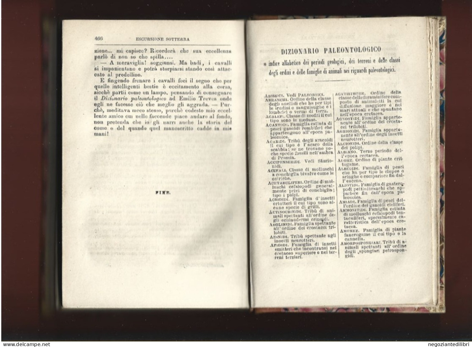 Astronomia-Paleontologia+P.Lioy ESCURSIONE NEL  CIELO- ESCURSIONE SOTTERRA-Ed.Treves 1868/69 - Libri Antichi