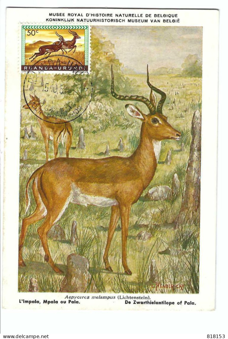 RUANDA-URUNDI  L'Impala , Mpala Ou Pala    FDC  15/10/1954? - Used Stamps