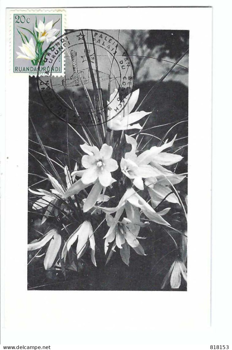 RUANDA-URUNDI     Velloziaceae  Vellozia Aequatorialis    FDC  5/5/1958 - Gebraucht