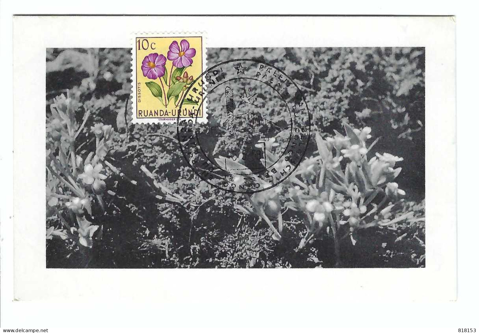 RUANDA-URUNDI    Melastomataceae Dissotis Ou OSBEKIA    FDC  5/5/1958 - Gebraucht